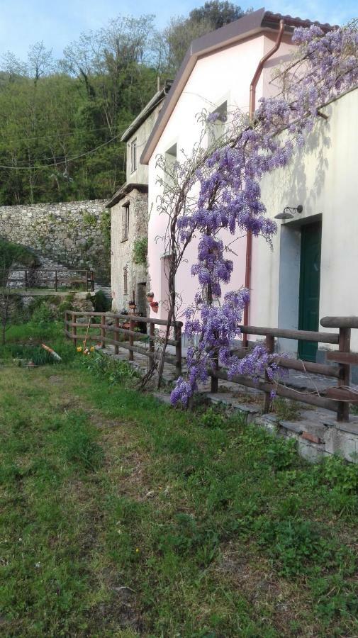Ca Di Gatti Apartment Ne Exterior photo